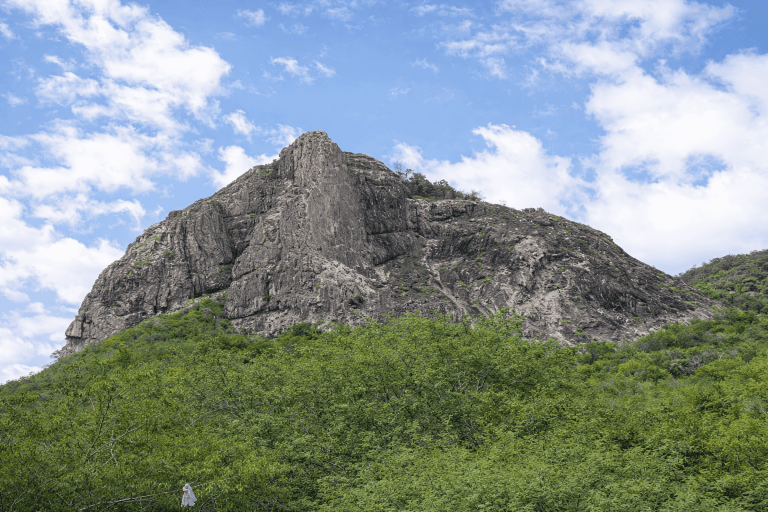 Consultoria Mineral & Mineração