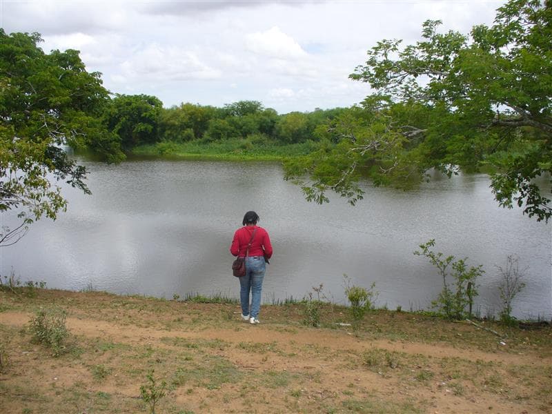 Licenciamento Ambiental